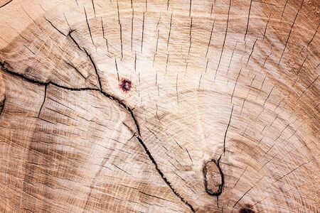 cracked wood board close up view. Wooden texture abstract backgroundの写真素材