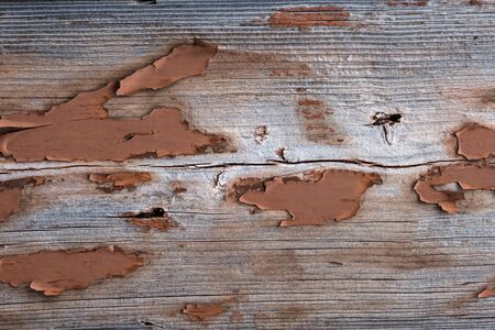 Old wood plank texture grunge abstract backgroundの写真素材