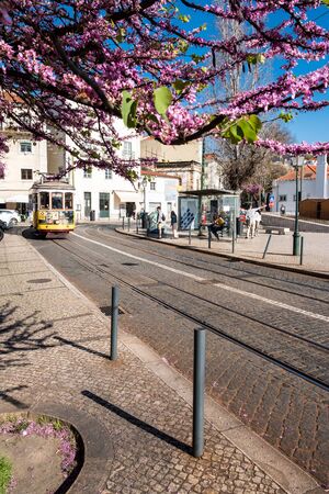 Lisbon, Portugal - March 23, 2019: Yellow tram, symbol of Lisbon at sunny street with walking touristsの写真素材