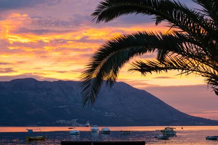 Sunrise at the sea with palm tree. Tropical resort. Sea, mountains, island and boats.の写真素材