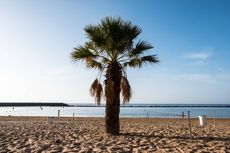 Tropical beach. Playa De Las Teresitas, Tenerife, Canary Islands.
