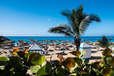 COSTA ADEJE, TENERIFE, SPAIN - NOVEMBER 2019: People lay on the sand and swim in the ocean at tropical beach.の写真素材
