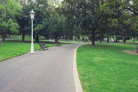 Green city park. Spring time nature park landscapeの写真素材