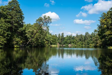 Scenic view of the park in the center of the big city in the summer. With a lagoon in the middle and green trees. In the atmosphere of evening lightの写真素材