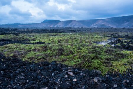 Volcanic Lanzarote landscape. Lanzarote. Canary Islands. Spainの写真素材