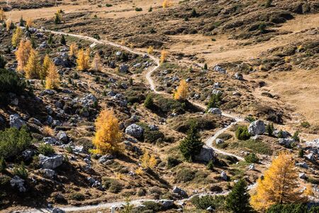 Amazing autumn rural landscape with yellow trees on foreground and mountain hills on background....