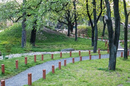 Green city park. Spring morning at parkの写真素材