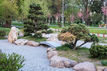 beautiful japanese green park in summer timeの写真素材