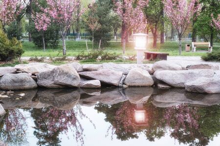 beautiful japanese green park with pond in summer timeの写真素材