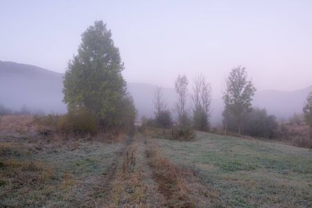 Beautiful autumn rural landscape with mountain and trees over amazing colors sky. Carpathian Mountains. Ukraine.の写真素材