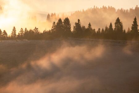 Beautiful foggy landscape in the sunrise mountains. Fantastic morning foggy autumn hills glowing by...
