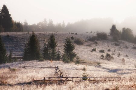 Beautiful foggy landscape in the sunrise mountains. Fantastic morning foggy autumn hills glowing by sunlight.の写真素材