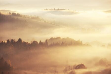 Beautiful foggy landscape in the sunrise mountains. Fantastic morning foggy autumn hills glowing by...