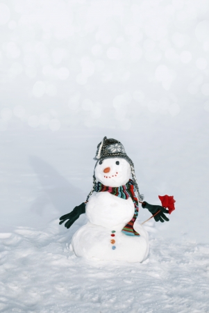 Snowmen with flowerの写真素材