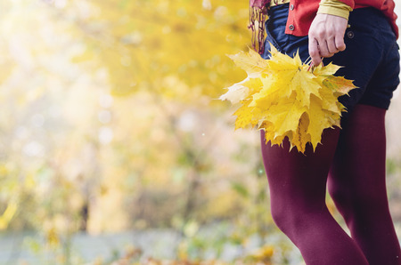 Conceptual image of autumn leavesの写真素材