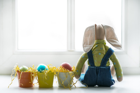Easter bunnyの写真素材