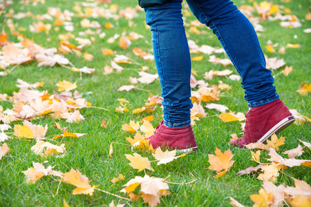 Feet sneakers walking on fall leavesの写真素材