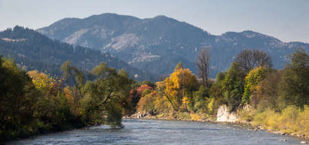 Mountain river with autumn leaves. Carpathian, Ukraineの写真素材