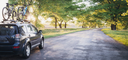 Car with bicycles in the forest roadの写真素材