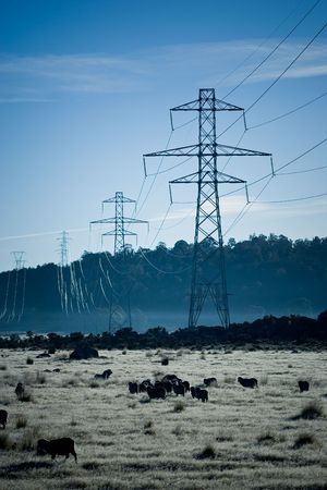 Power pylons crossing farmland