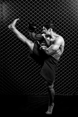 Mixed martial artist posed in front of chain linkの写真素材