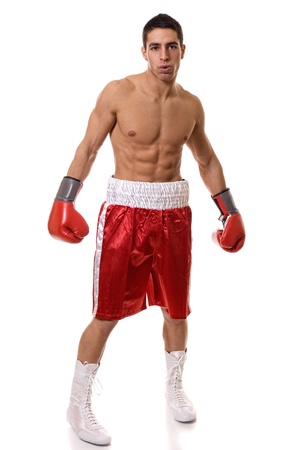 Boxerの写真素材
