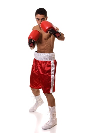 Boxerの写真素材
