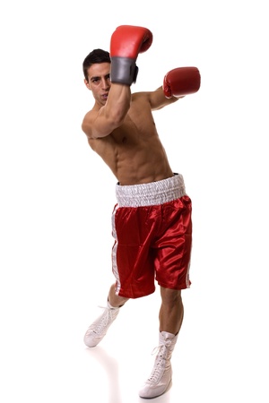 Boxerの写真素材