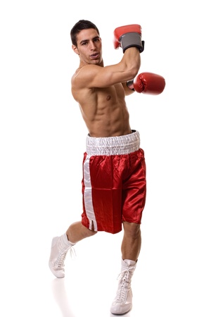 Boxerの写真素材
