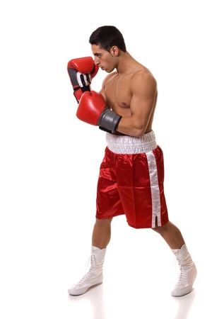 Boxerの写真素材