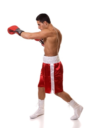 Boxerの写真素材