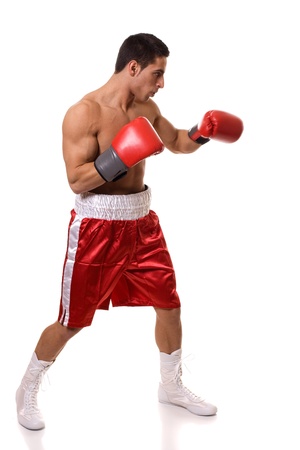 Boxerの写真素材