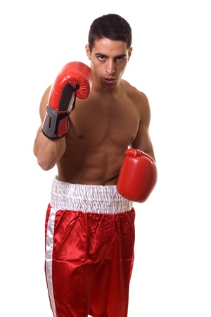 Boxerの写真素材