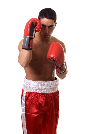 Boxerの写真素材