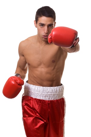 Boxerの写真素材