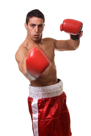 Boxerの写真素材