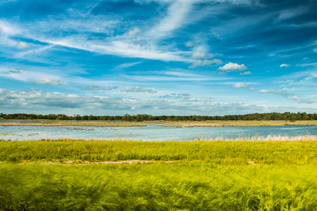 Expansive wetlands under a dramatic sky.の写真素材