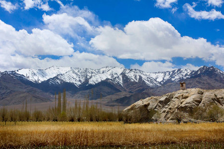 Natureの写真素材