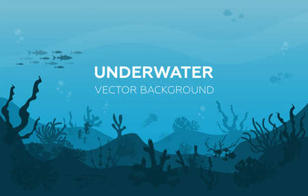 Underwater background with various sea views. Underwater scene. Cute sea fishes ocean underwater animals. Undersea bottom with corals seaweeds kids cartoon vector conceptのイラスト素材