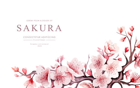 Cherry blossom vector frame. Watercolor cherry blossom isolated on white background.のイラスト素材