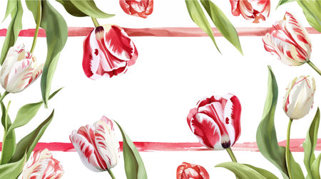 Watercolor tulips. Seamless border. Hand painted illustration.のイラスト素材