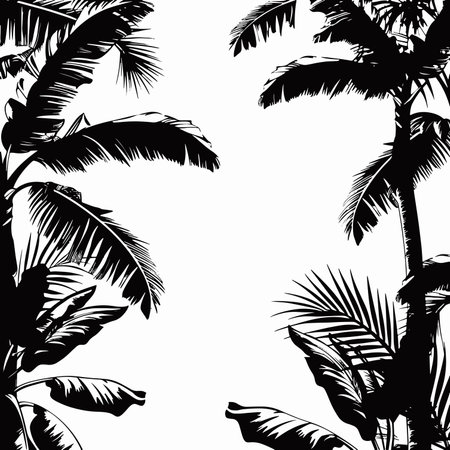 Black silhouettes of palm trees on white background. Vector illustration.のイラスト素材