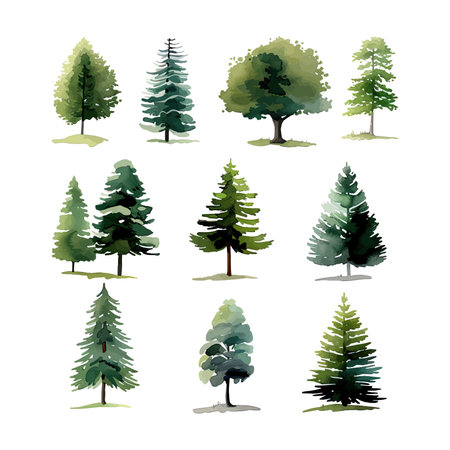 Pine tree set. Watercolor hand drawn illustration isolated on white background.のイラスト素材