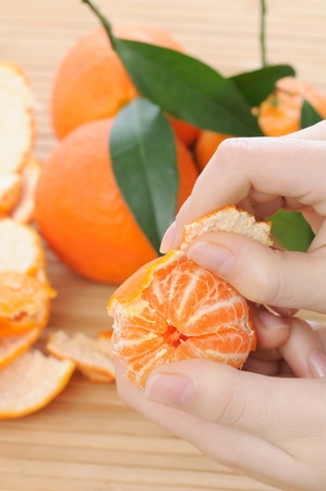 woman hands peeling a ripe tangerine with fresh fruits and leaves on backgroundの写真素材