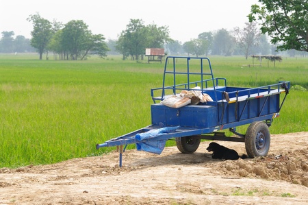 farm in ASEANのeditorial素材