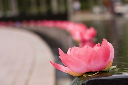 Material based lotus flowerの写真素材