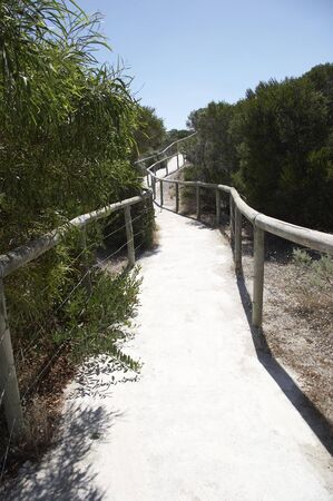 Pathway to the beachの写真素材