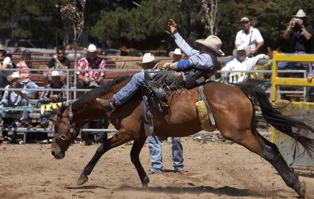 Rodeo rider on a bucking horseの写真素材