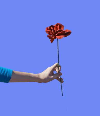 A rose in the handの写真素材