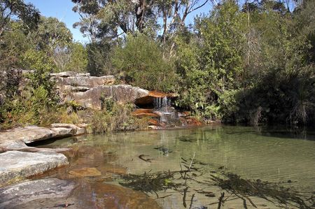 Lake and small waterfall in the forestの写真素材